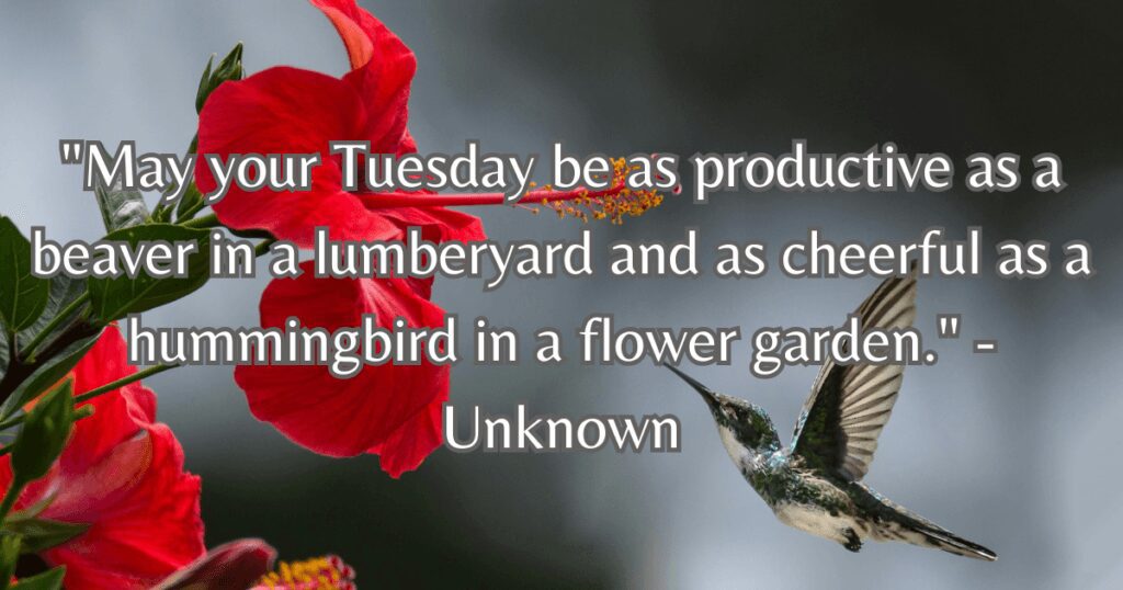 Tuesday blessings and prayers