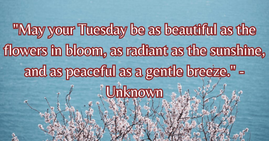 beautiful good morning Tuesday images