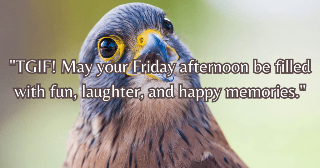 Friday afternoon blessings GIF