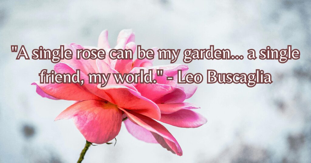 quotes for friends