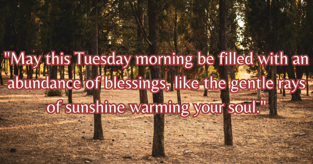 Beautiful Good Morning Tuesday Blessings quotes