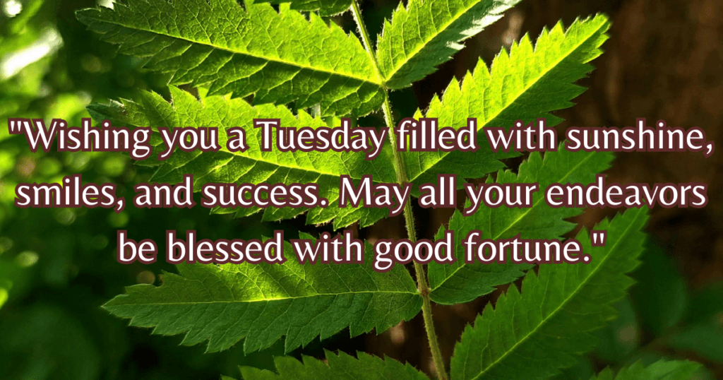 Good Morning Tuesday Wishes Quotes