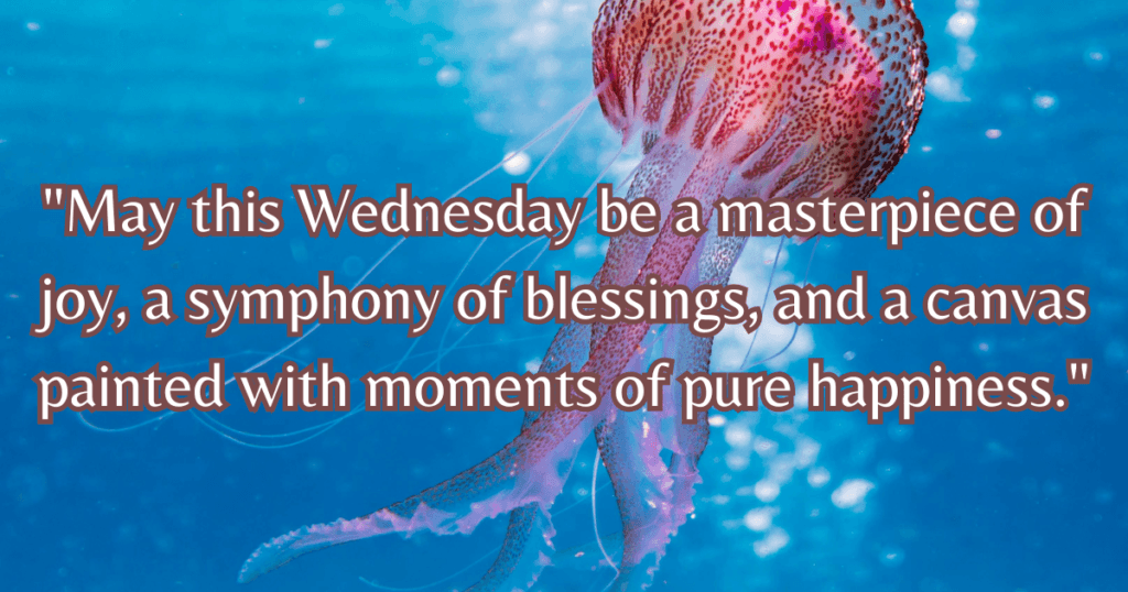 Beautiful Wednesday blessings