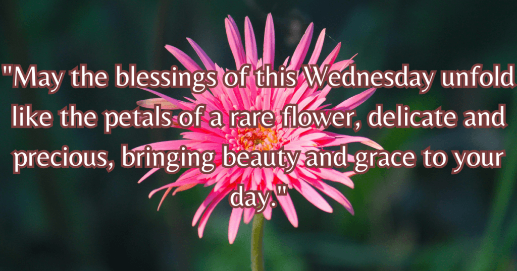 Beautiful Wednesday blessings