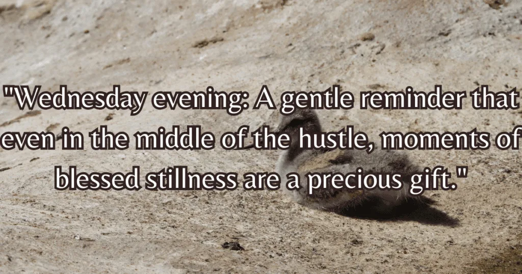 Wednesday evening blessings quotes peace