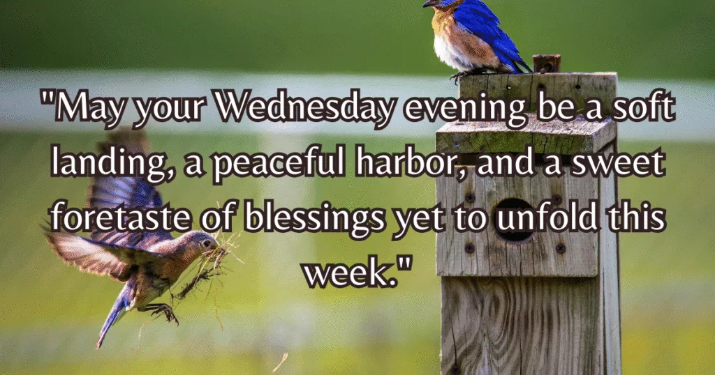 Wednesday evening blessings quotes comfort hope