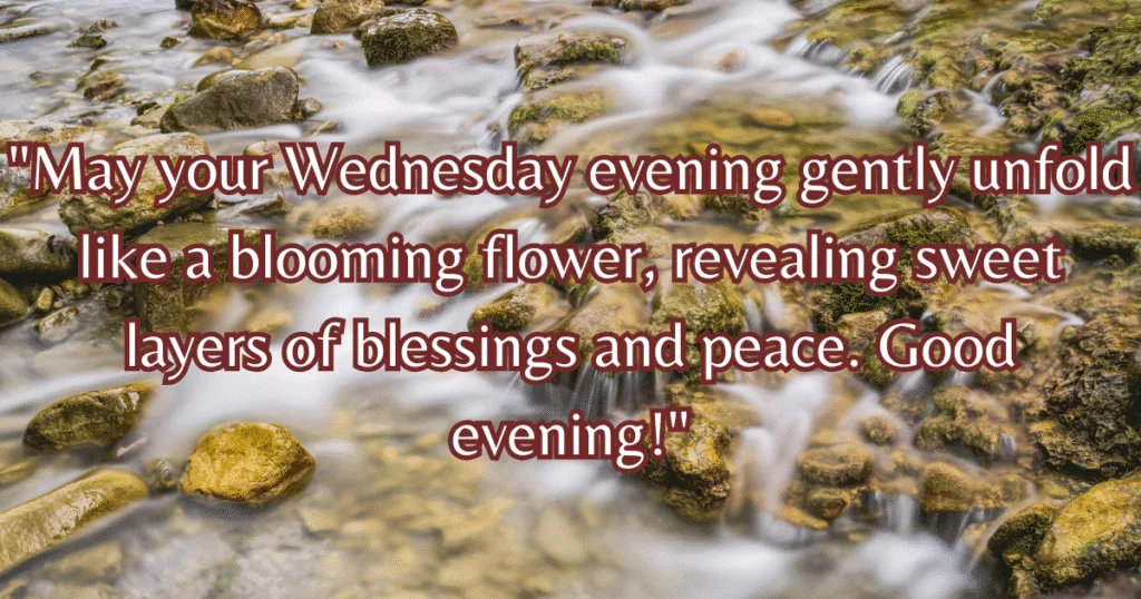 Wednesday evening blessings gif floral animation