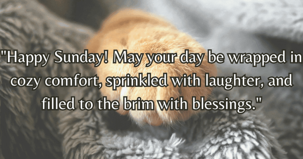 happy Sunday images cozy