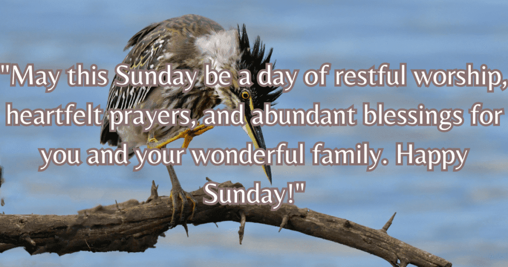 happy sunday blessings and prayers for family