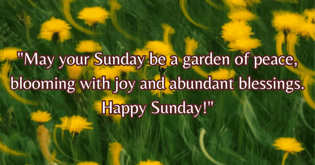 happy sunday blessings images garden
