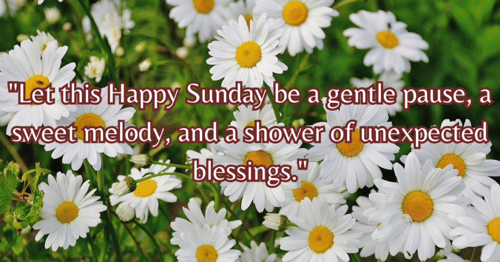 happy sunday blessings images peaceful