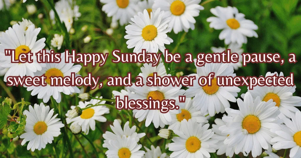 happy sunday blessings images peaceful