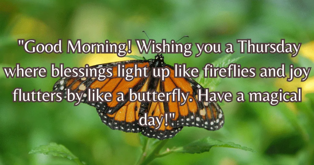 Good Morning Thursday Blessings GIF magical nature