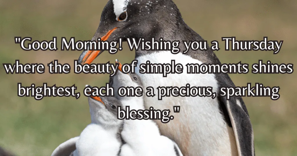 Beautiful Good Morning Thursday Blessings simple