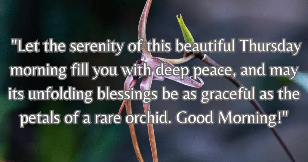 Beautiful Good Morning Thursday Blessings elegant floral