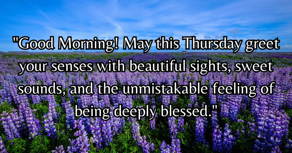 Good Morning Thursday Blessings senses