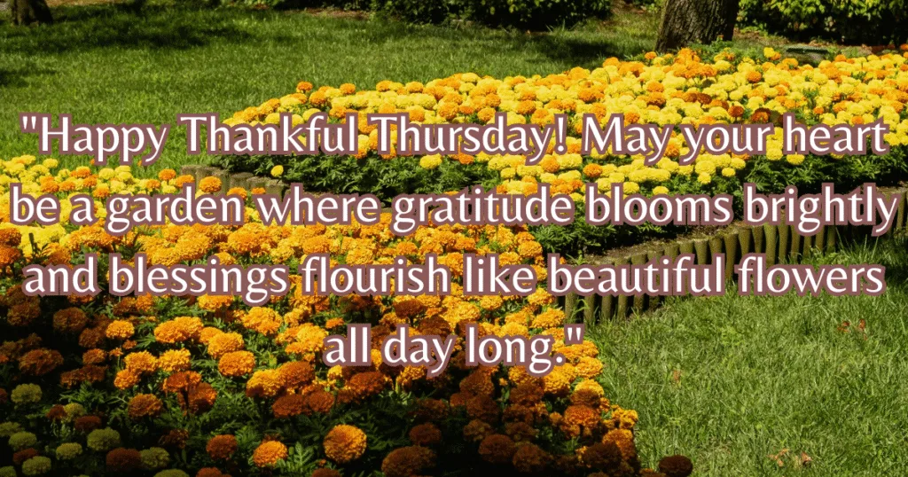  thankful Thursday blessings flowers