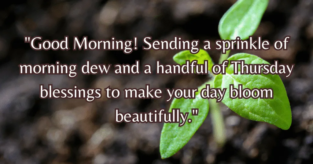 Good Morning Thursday Blessings Images flowers dew