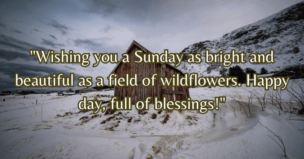 happy Sunday images flowers