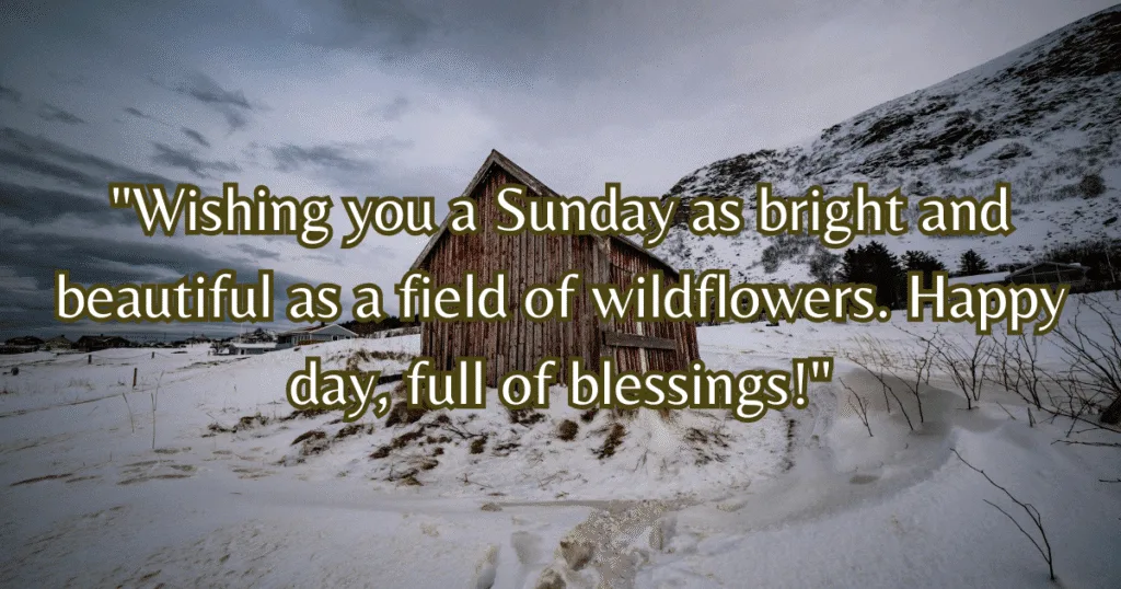 happy Sunday images flowers